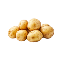 Potato