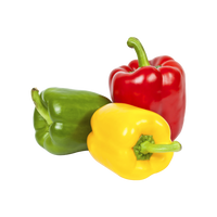 Capsicum