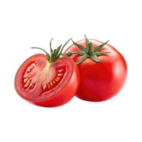Tomato