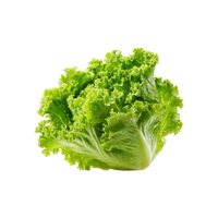 Lettuce