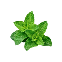 Leafy Items