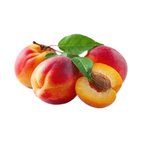 Stone fruit