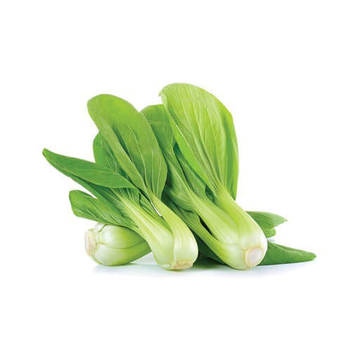 باك تشوي صغير (البحرين)