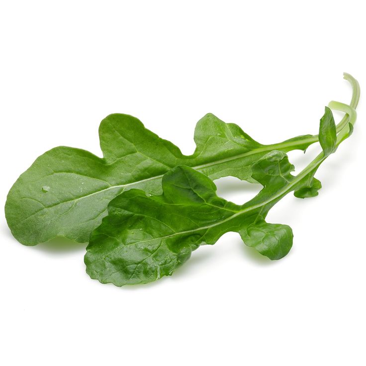 خس روكا صغير (فرنسا)