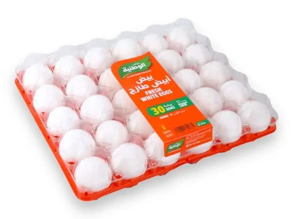 EGG AL WATANIA (KSA)