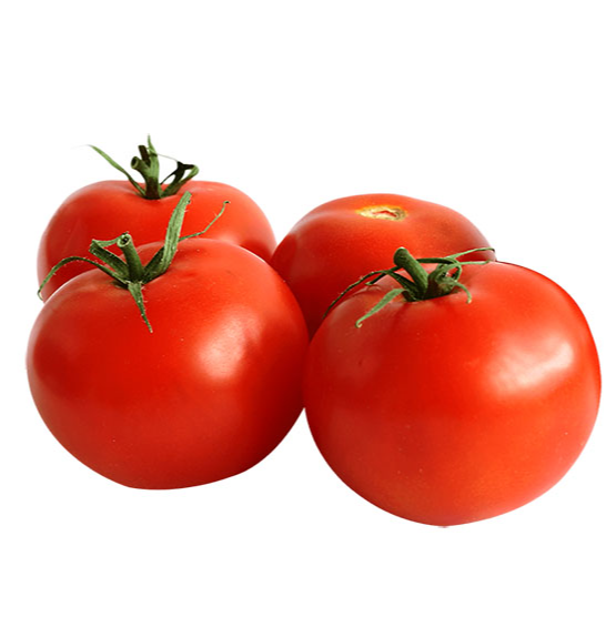 TOMATO (JORDAN)