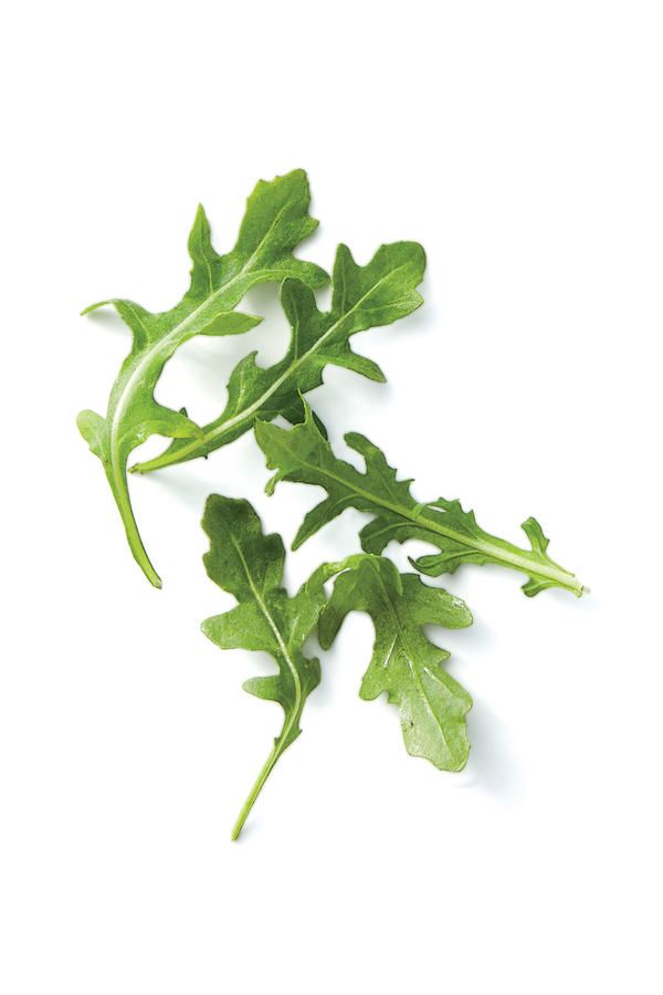 خس جرجير صغير (هولندا)