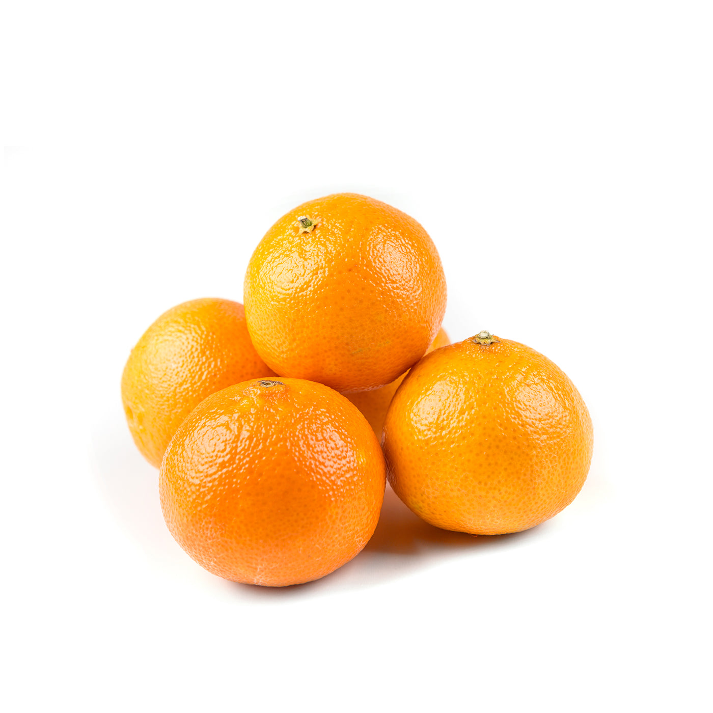 برتقال أبو سرة ٧٢ (إسبانيا)