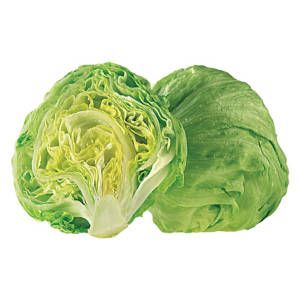 LETTUCE ICEBURG (EGYPT)