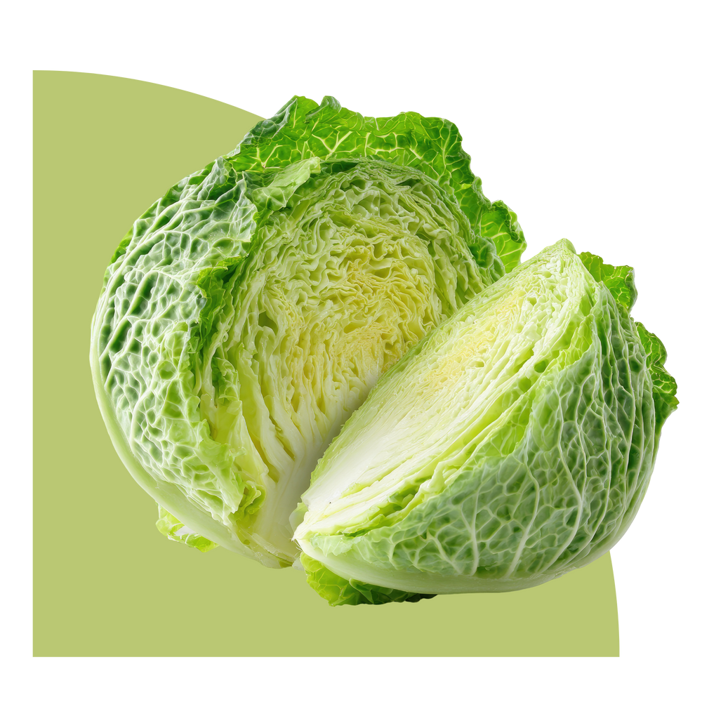 ملفوف