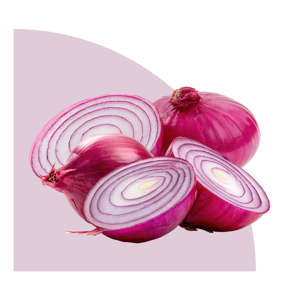 بصل