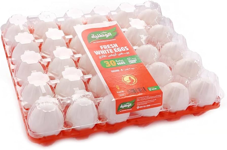 EGG AL WATANIA (KSA)