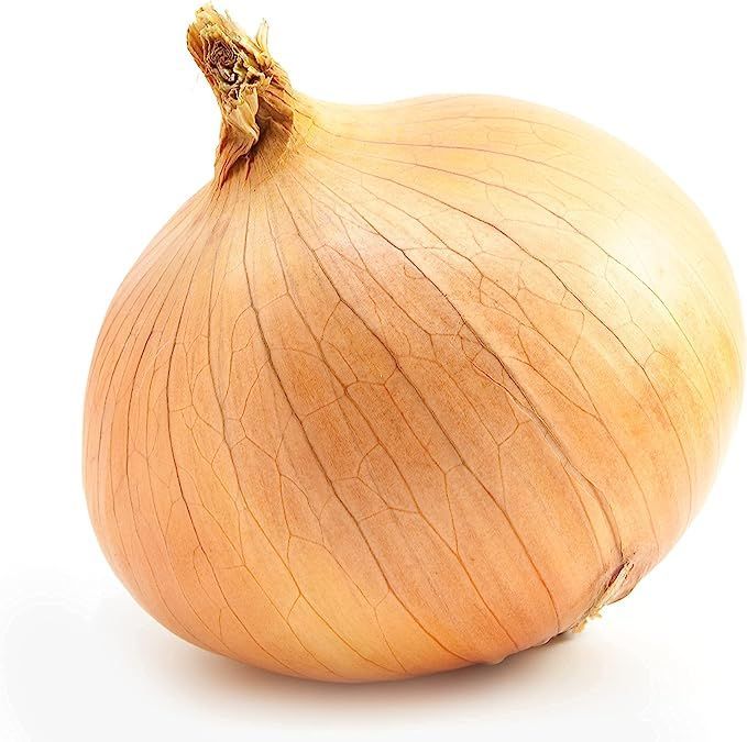 بصل بني (إسبانيا)