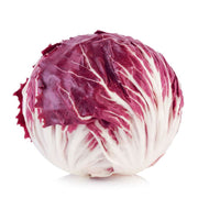 LETTUCE RADICCHIO ROSSO (NETHERLANDS)