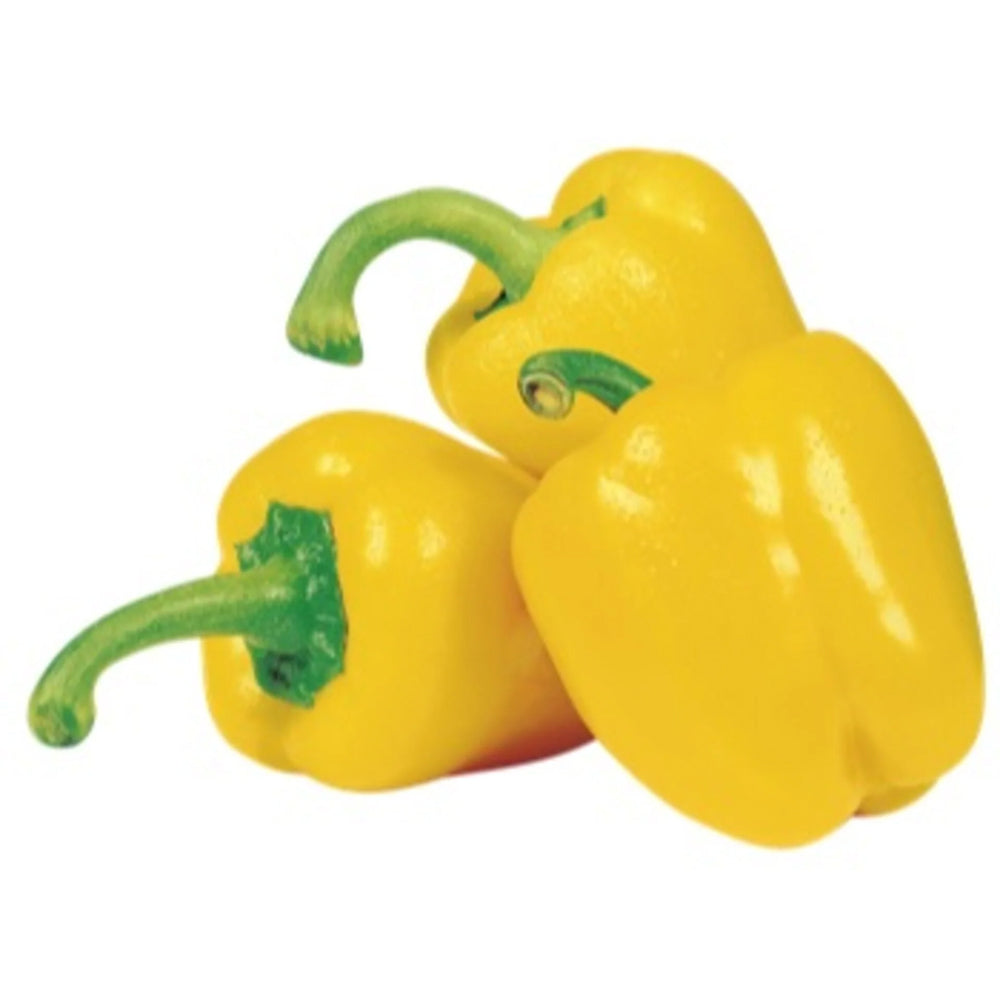فلفل حلو أصفر (الأردن)