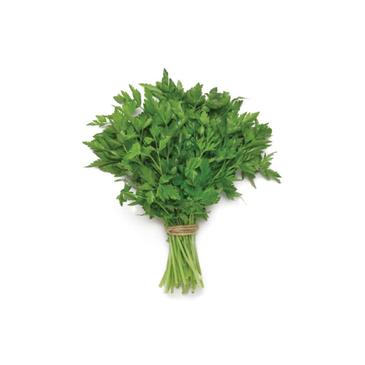 PARSELY (JORDAN)