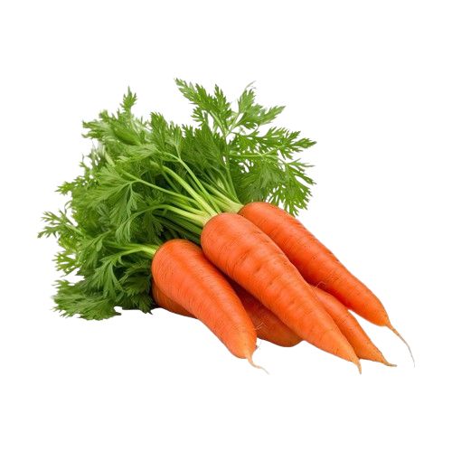 CARROTS (OMAN)