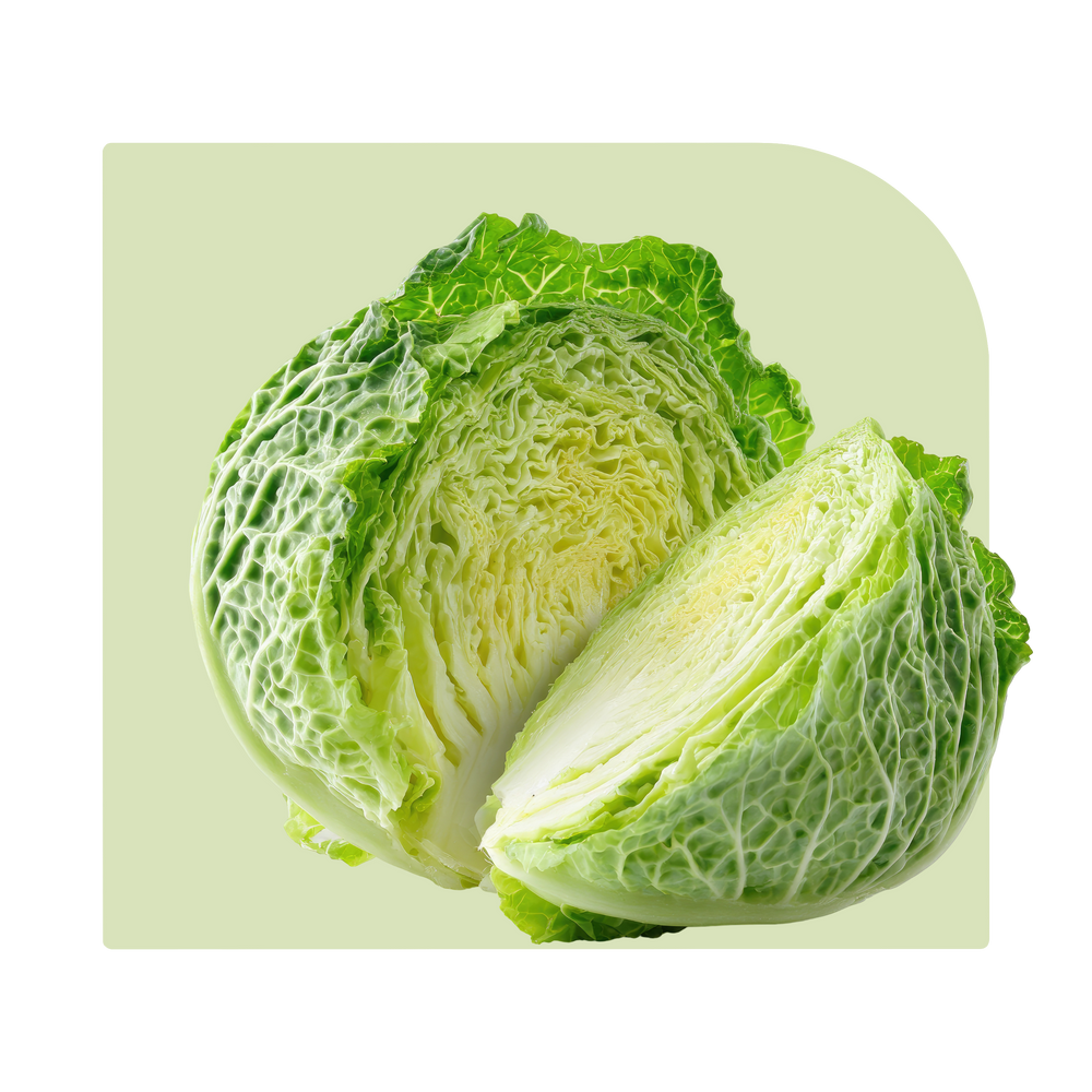 Cabbage