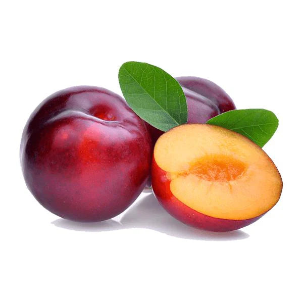 PLUMS RED 55 (SOUTH AFRICA)