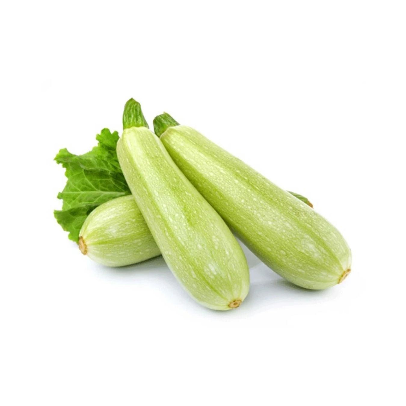 كوسة (المملكة العربية السعودية)