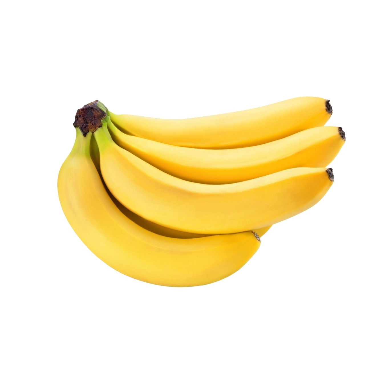 موز كافنديش (فلبيني)
