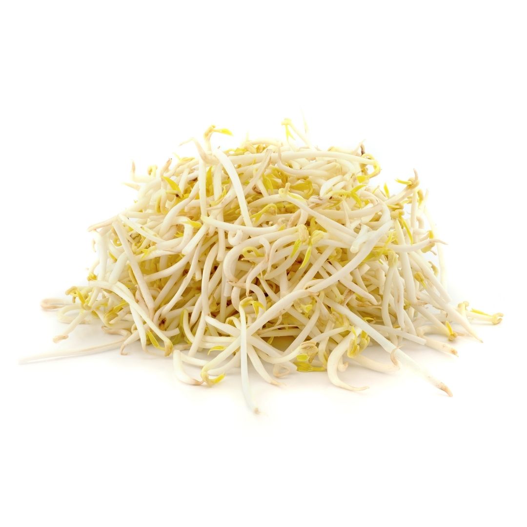 BEANS SPROUT (BAHRAIN)