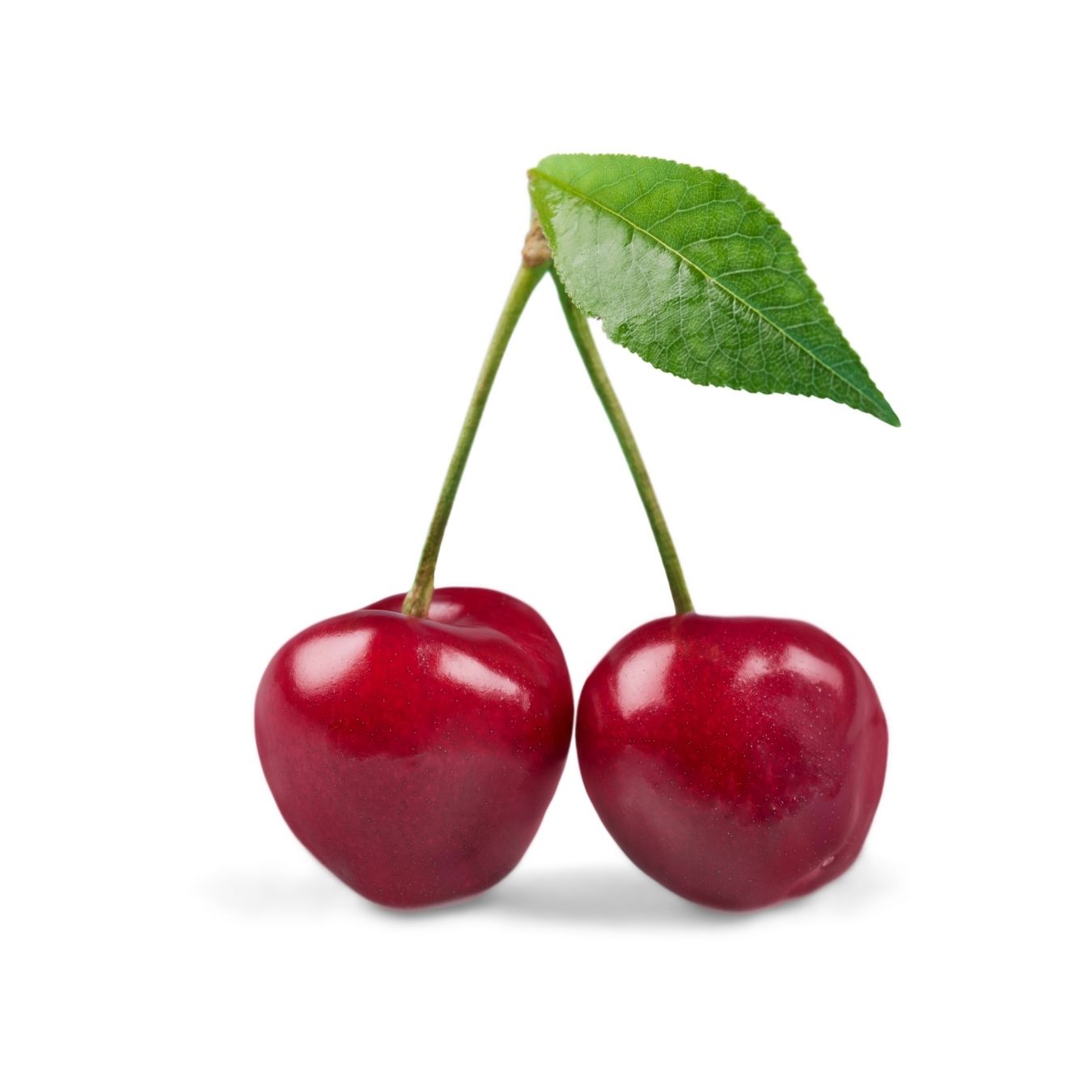 CHERRY (TURKEY)