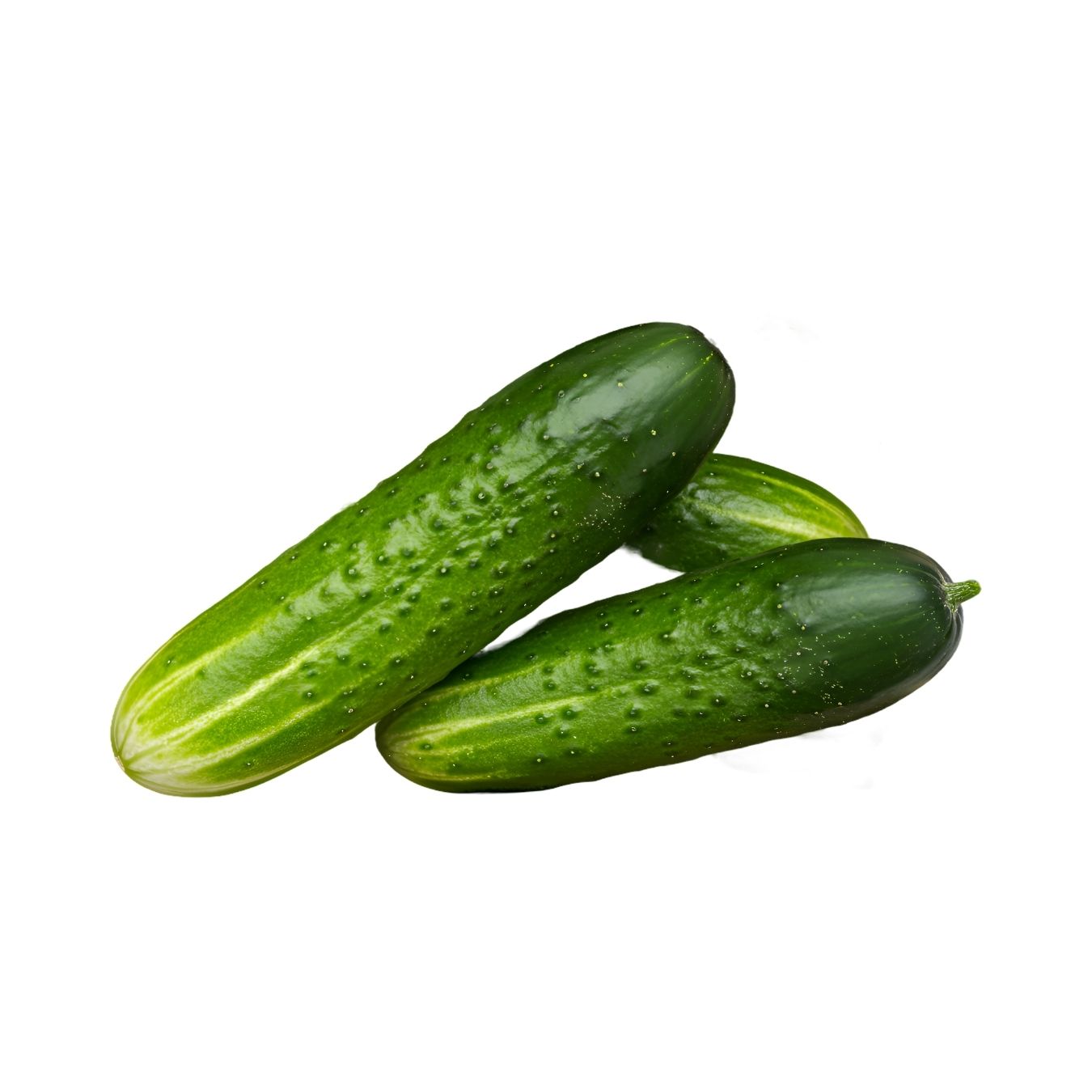 CUCUMBER (BAHRAIN)