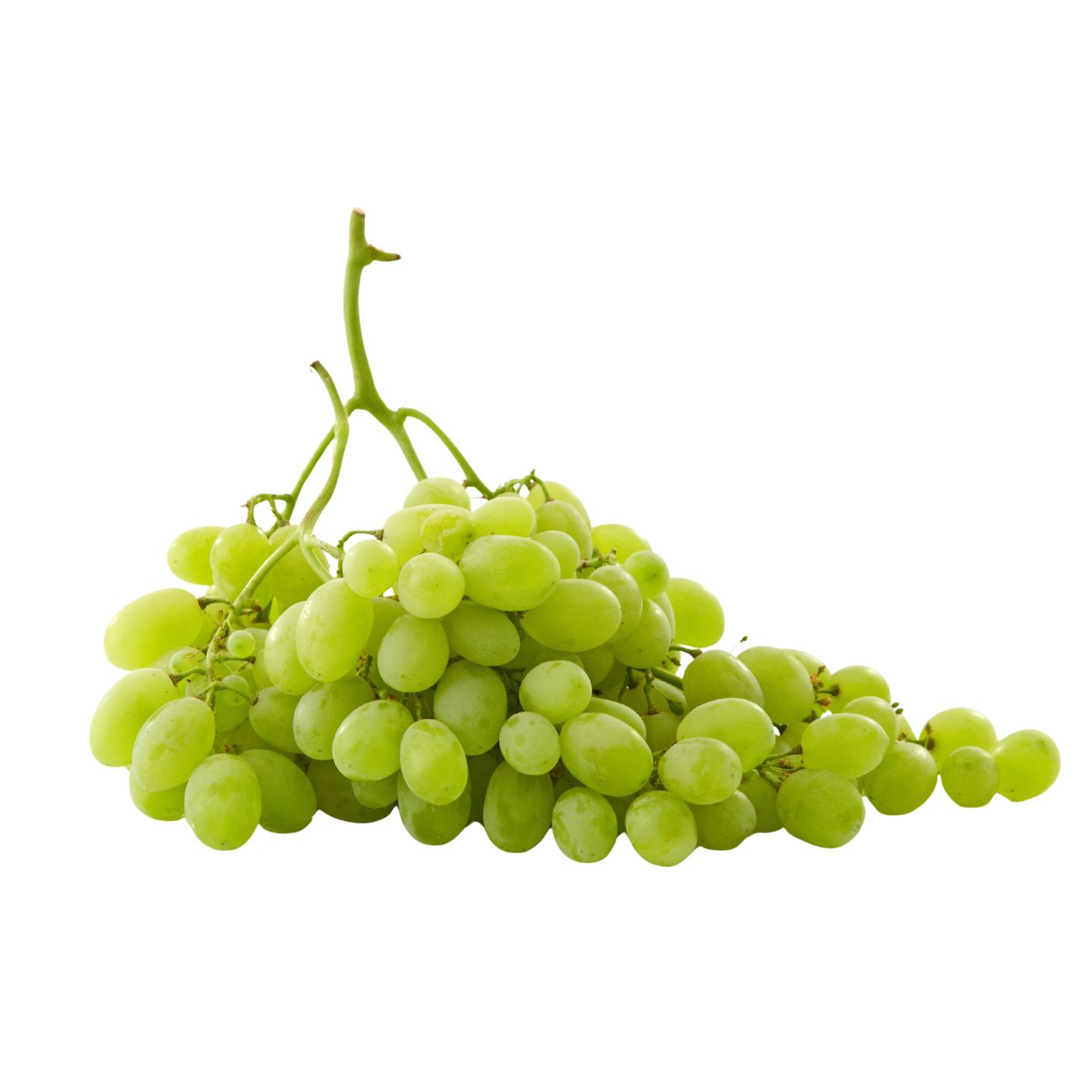 GRAPES GREEN (EGYPT)