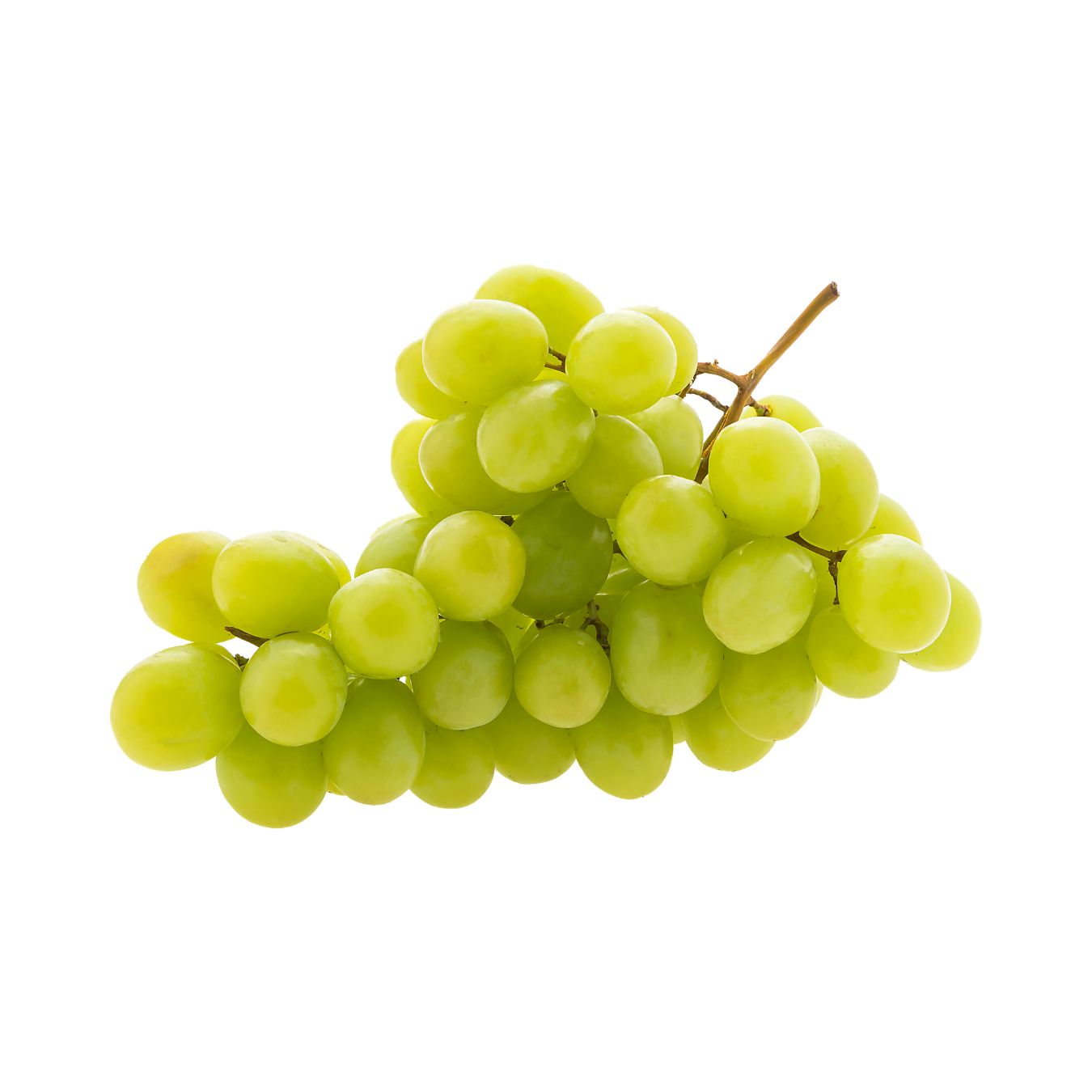 عنب أبيض (إيطالي)