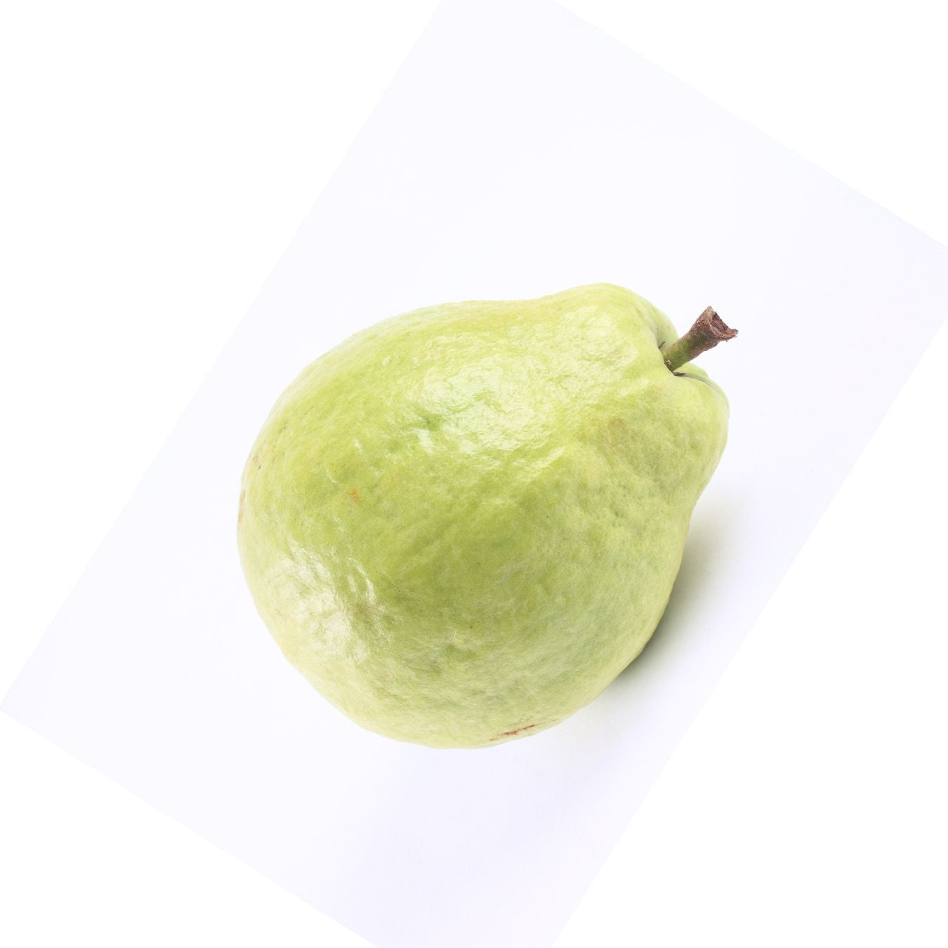 GUAVA (EGYPT)