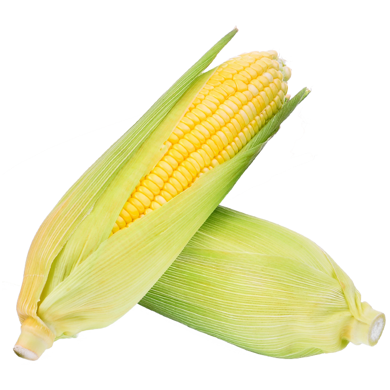 ذرة حلوة (السعودية)
