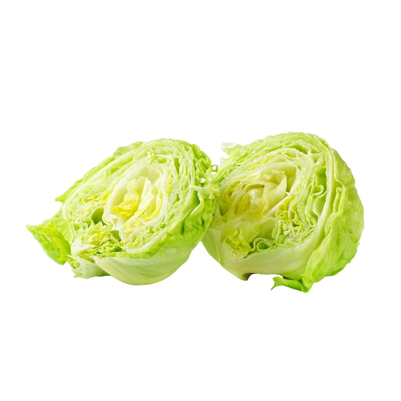 خس أيسبرغ (عُمان)