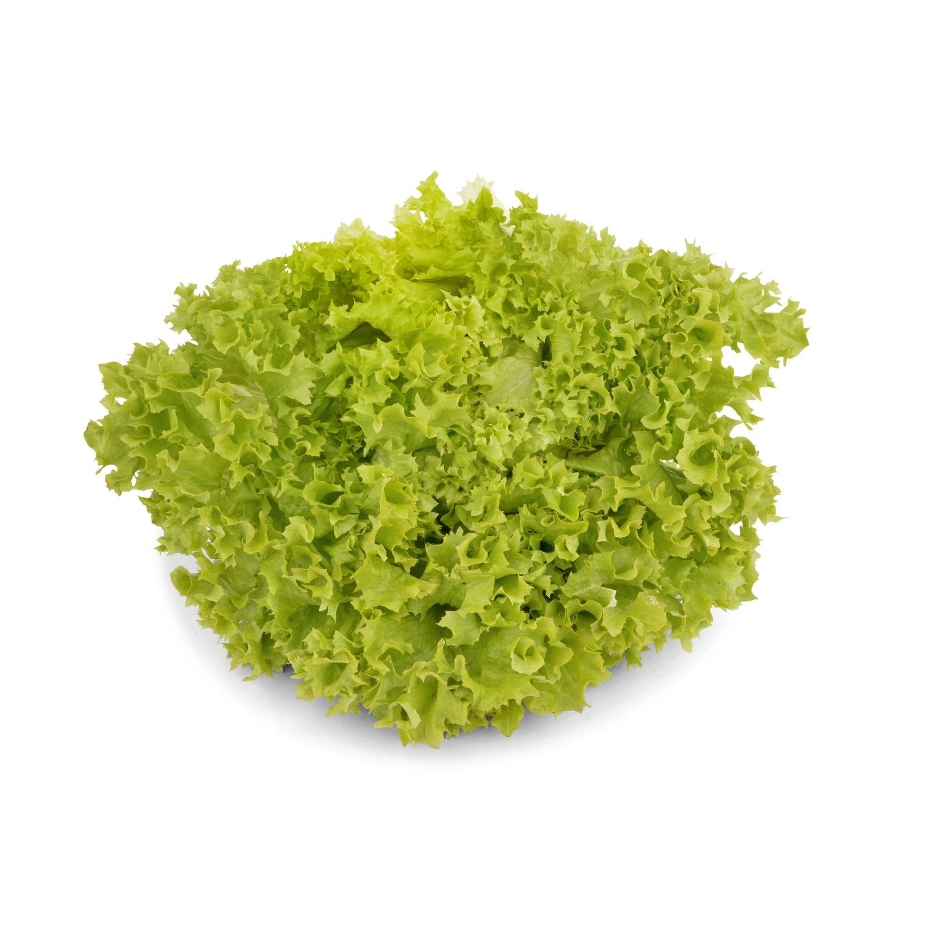 خَس لولو بيوندو (البحرين)