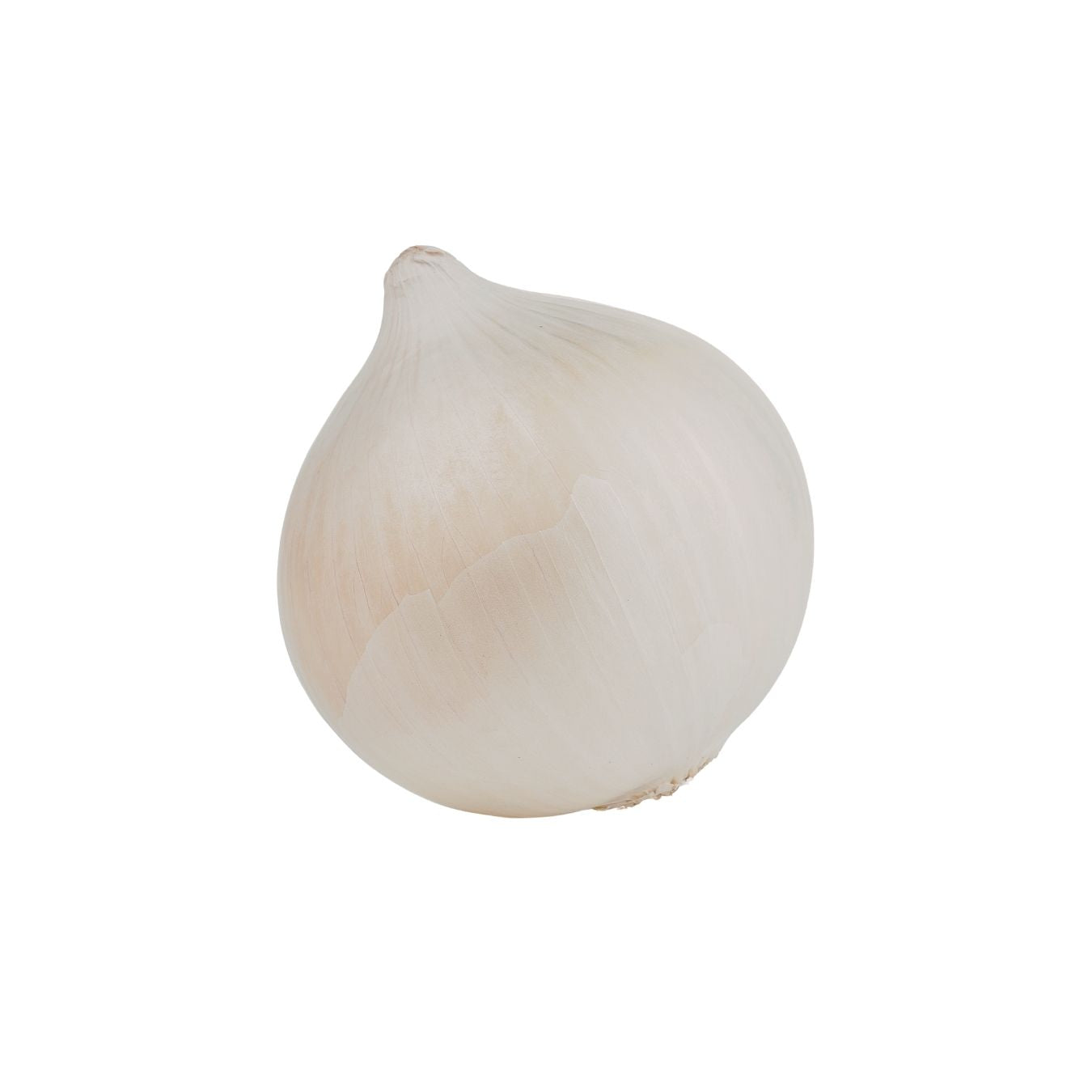 بصل أبيض (إيران)