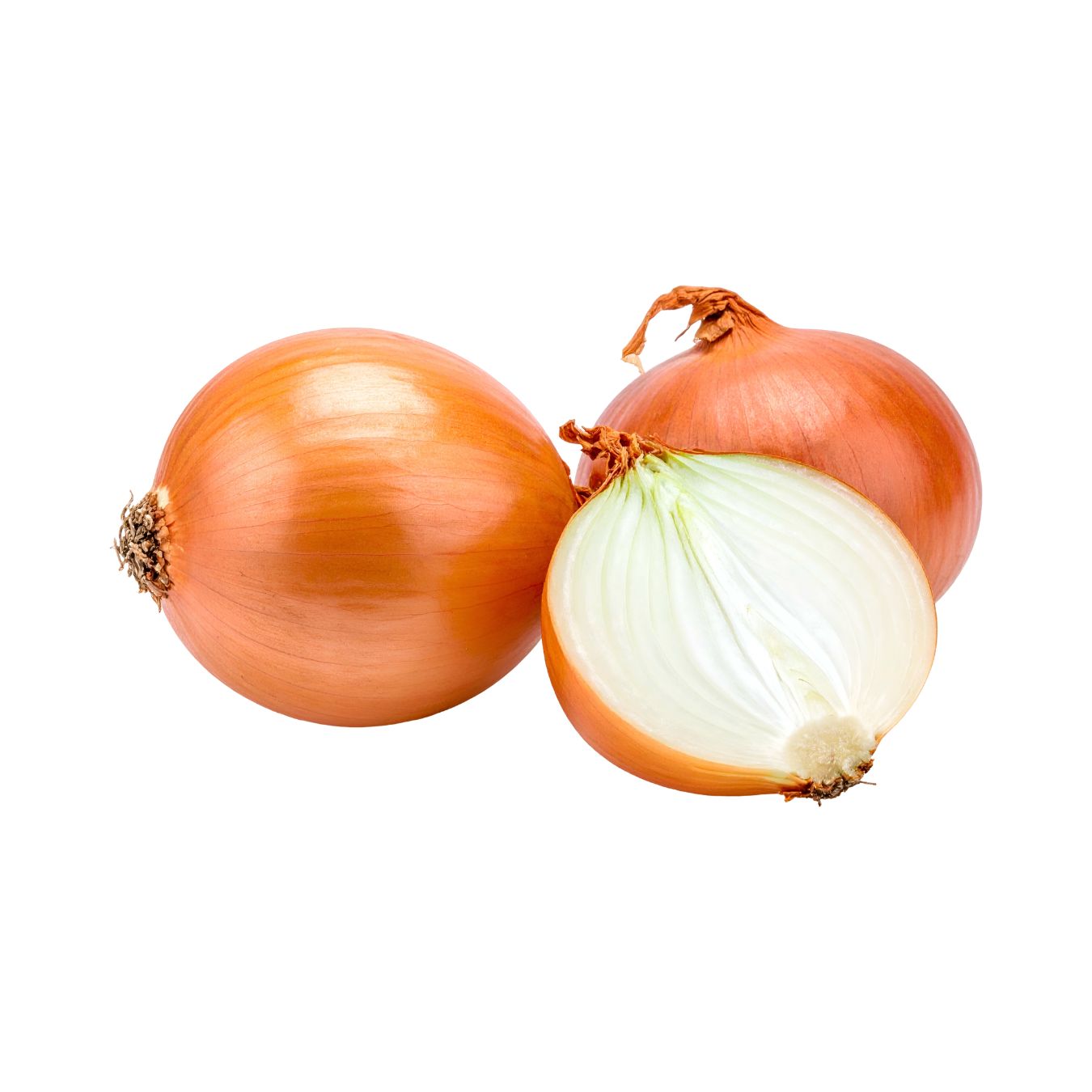 بصل بني (الصين)