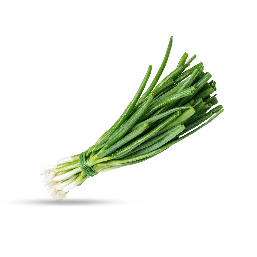 بصل أخضر (الأردن)