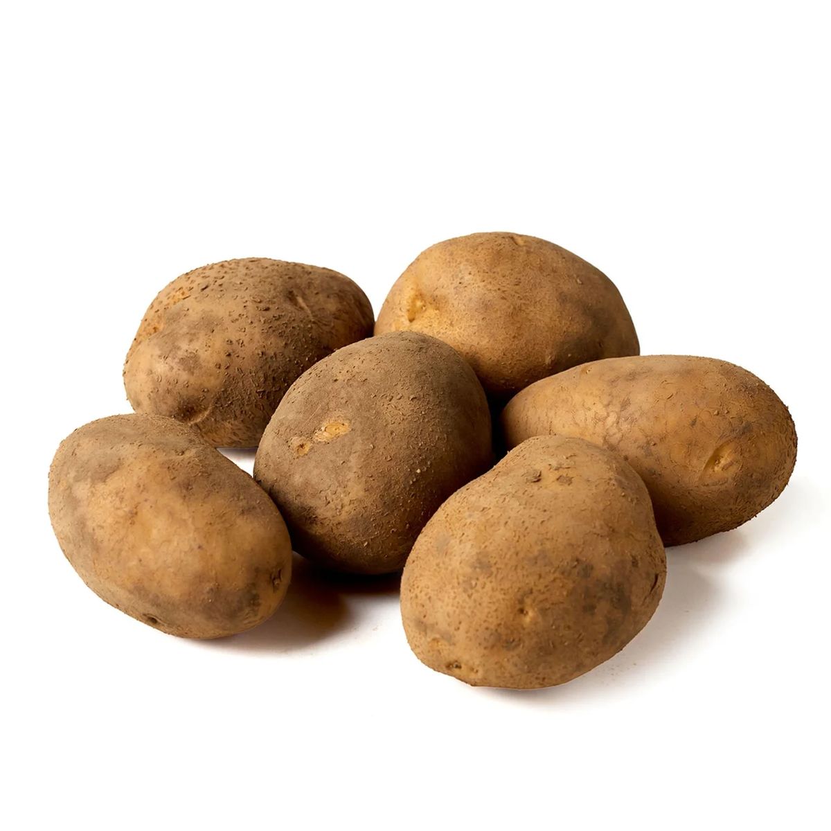 بطاطس أجريا (هولندا)