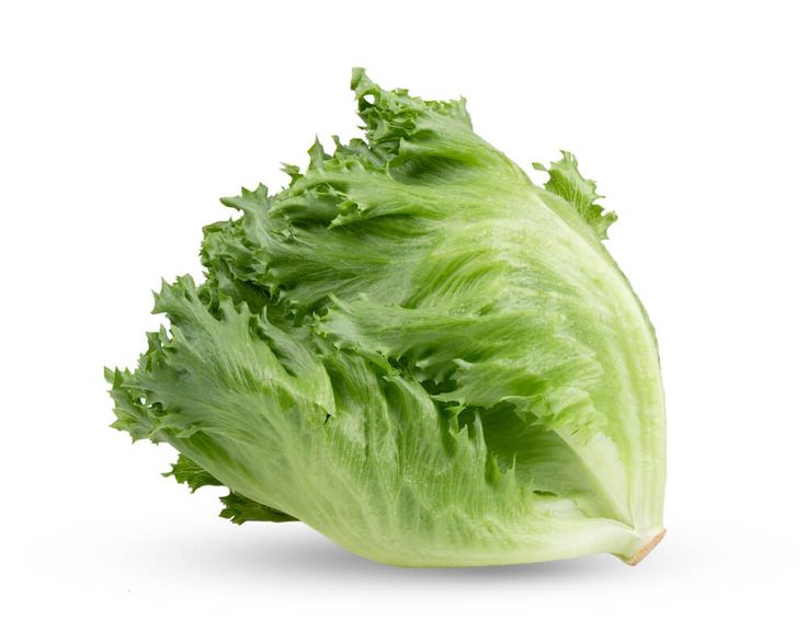 LETTUCE FREEZEE (BAHRAIN)