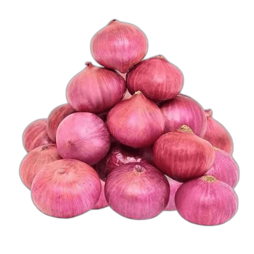 بصل أحمر (باكستاني)