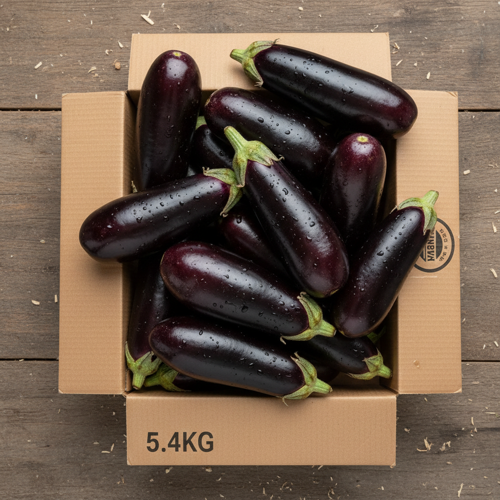 EGGPLANT