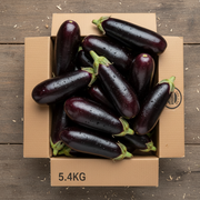 EGGPLANT