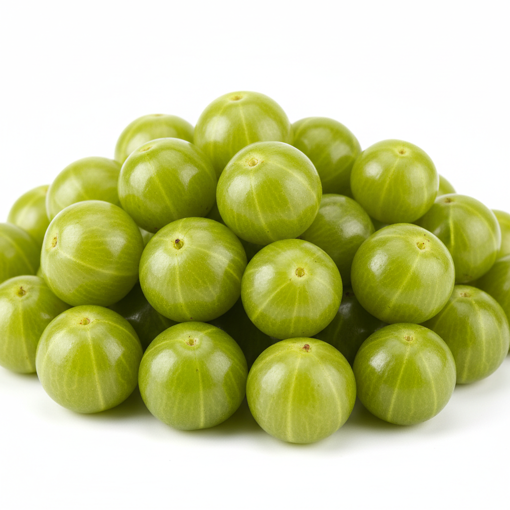 عنب الثعلب الهندي