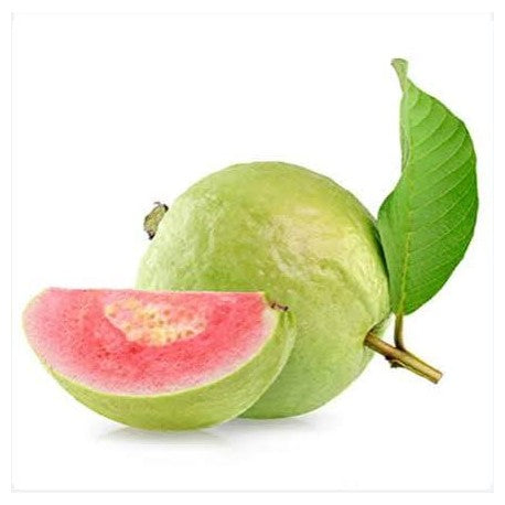 جوافة حمراء (الهند)