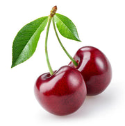 CHERRY (SYRIA)