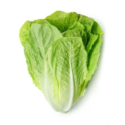 LETTUCE ROMAINE (JORDAN)