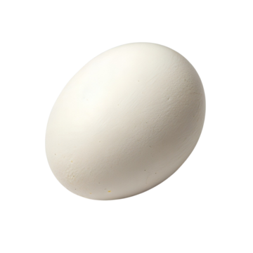 EGG WHITE (TURKEY)
