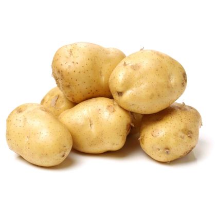 بطاطا سبونتا (المملكة العربية السعودية)