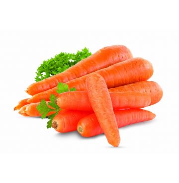 CARROT CHINA