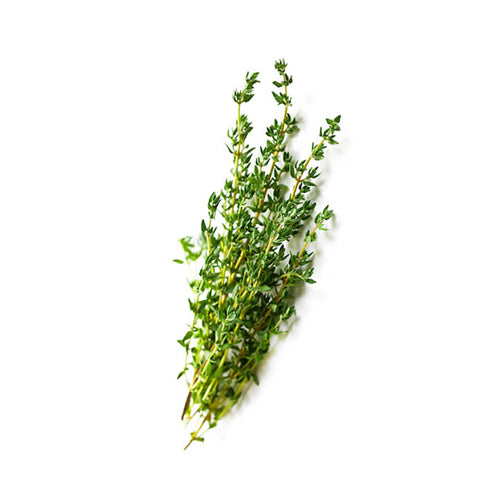 زعتر (كينيا)